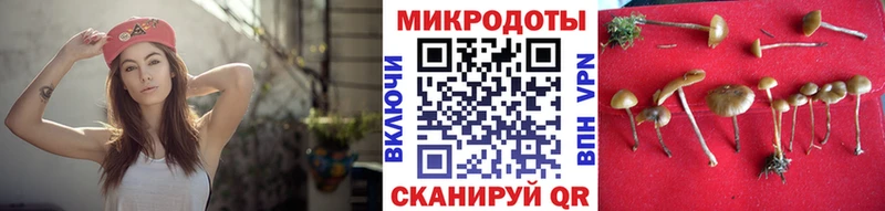 Галлюциногенные грибы ЛСД  Дыгулыбгей 